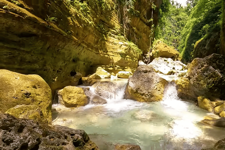 Cebu: Oslob Walvishaai &amp; Canyoneering Groepstour met Lunch