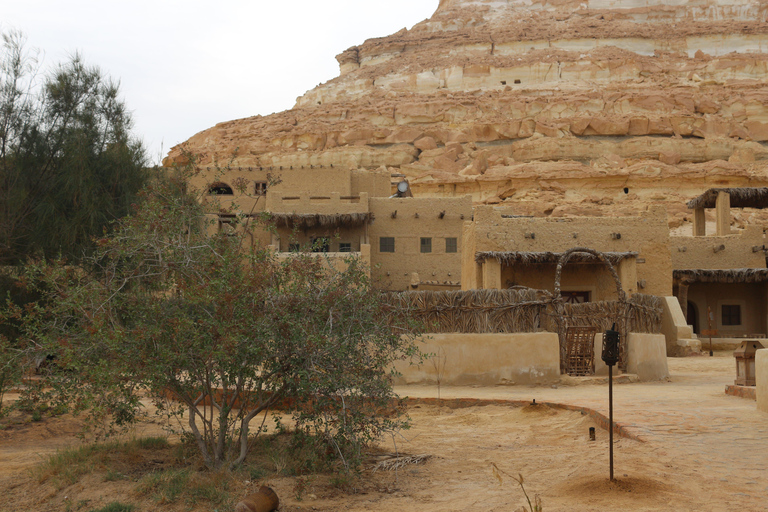 Dal Cairo: escursione privata di 5 giorni all&#039;Oasi di Siwa con alloggioDal Cairo: viaggio privato di 5 giorni all&#039;oasi di Siwa con alloggio