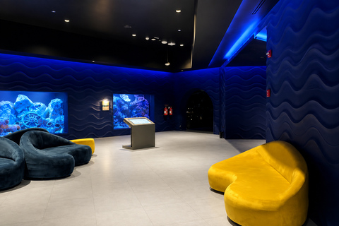 Doha Visit Hamad Port Aquarium- Museum with Private Transfer