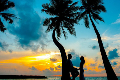 Kerala: 4-Day Honeymoon Tour with Treehouse Stay