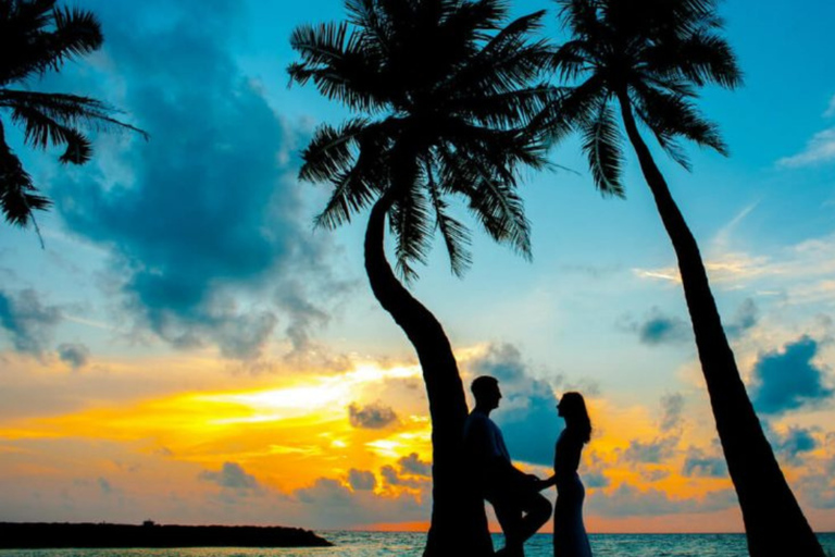 Kerala: 4-Day Honeymoon Tour with Treehouse Stay