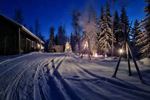 Rovaniemi: Self-drive Husky ride with a Reindeer Farm visit Rovaniemi: Self-drive Husky sleigh ride to a Reindeer Farm