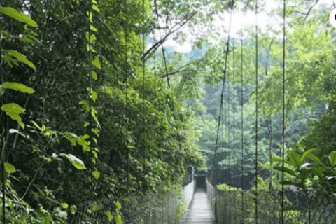 San Cristóbal : Cascade de Las Nubes et visite de Comitán