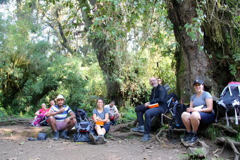 Kilimanjaro: 1-daagse privétrektocht met gecertificeerde gids