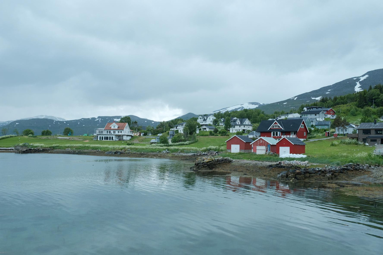 Dagtrip naar het eiland Senja met Chinese en Engelse gids