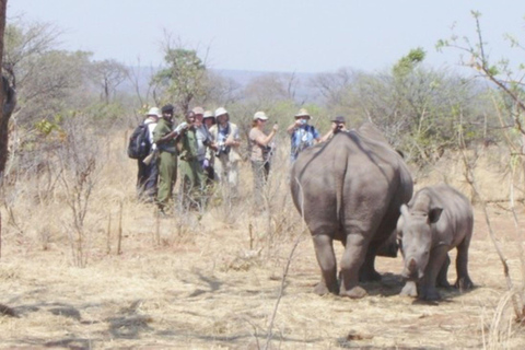 Livingstone: Mosi-oa-Tunya National Park Walking Safari