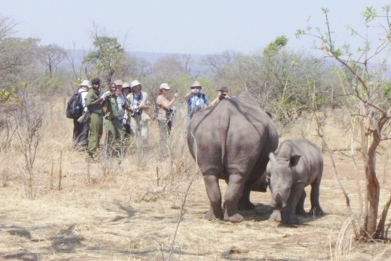 Livingstone: Mosi-oa-Tunya National Park Walking Safari