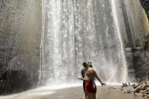 Ubud: Dolda pärlor och vattenfall Privat rundturHeldagsutflykt med lunch