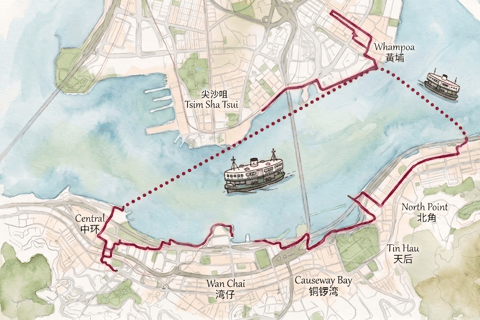 Victoria Harbour Shoreline Bike + Street Food Half-day Tour