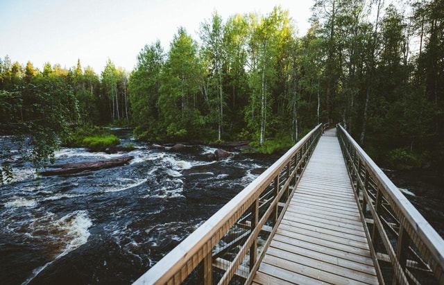 Rovaniemi: Nature Tour with Local BBQ & HD Photos