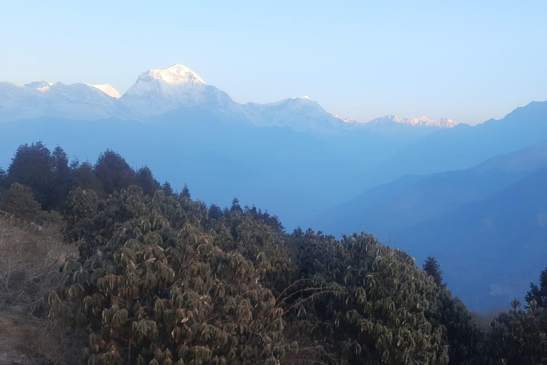 Découvrez la magie de Poon Hill : Un trek de 4 jours au départ de Pokhara