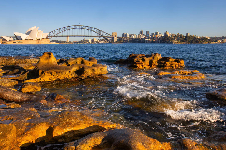 Sydney: Bondi Beach, Ópera y Visita Privada a la Ciudad de Sídney