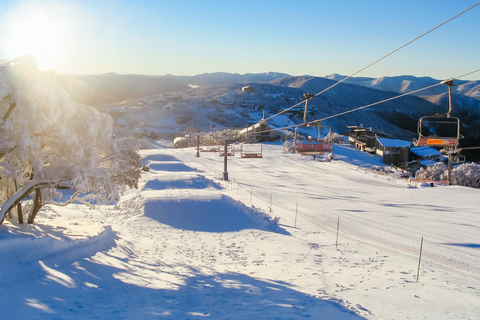 Mt Buller Snow Day Tour from Melbourne