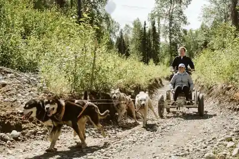 Talkeetna: Mushing Experience with Iditarod Champion Dogs