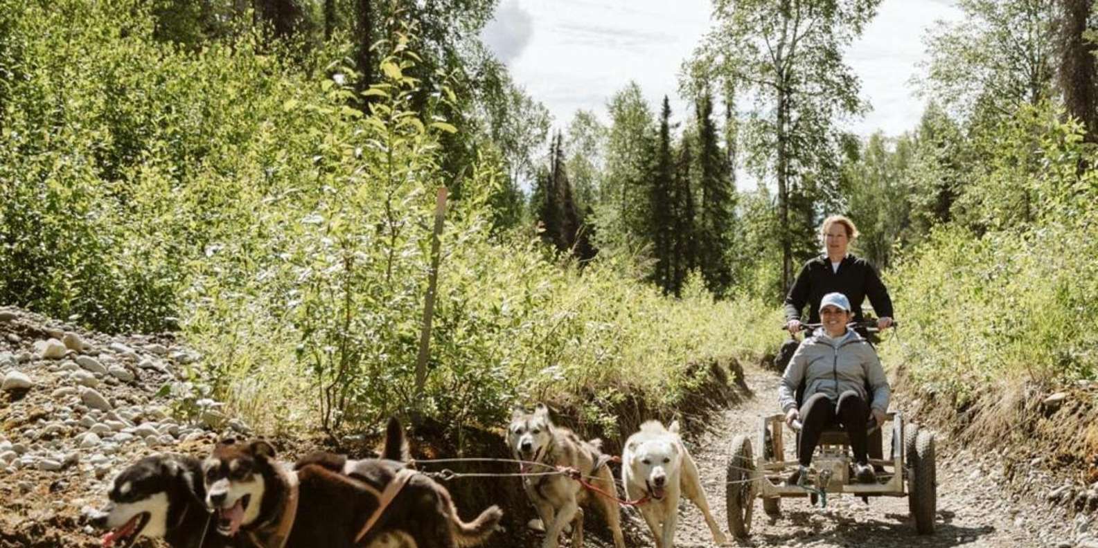 Talkeetna: Mushing Experience with Iditarod Champion Dogs