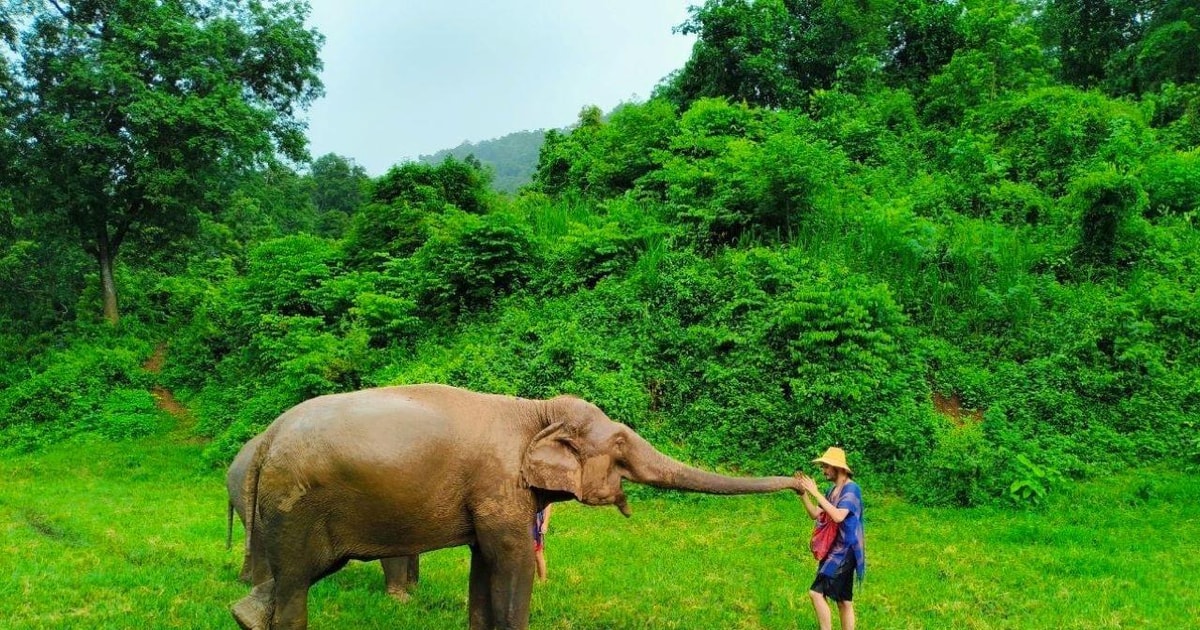 Chiang Mai Elefanten Schutzgebiet Rafting Klebriger Wasserfall