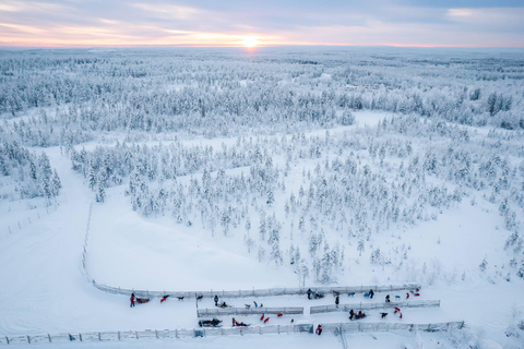 Rovaniemi: Siente la velocidad de los huskies