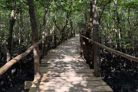 ZANZIBAR: Las Jozani, jaskinia Salaam, The Rock i Blue LagoonWYCIECZKA PRYWATNA BEZ ODBIORU Z HOTELU I TRANSPORTU POWROTNEGO