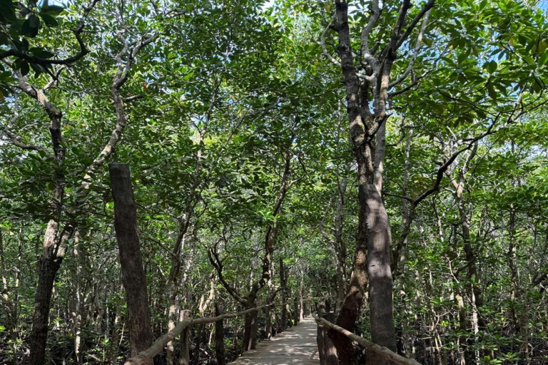 ZANZIBAR: Las Jozani, jaskinia Salaam, The Rock i Blue LagoonWYCIECZKA PRYWATNA BEZ ODBIORU Z HOTELU I TRANSPORTU POWROTNEGO