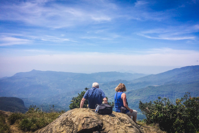 康提：纳克尔斯山脉徒步之旅（含午餐）