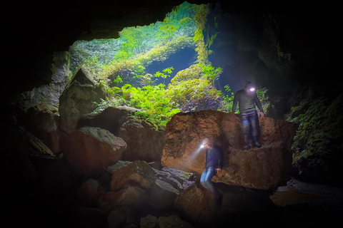 Waitomo: Guided Eco-Cave Tour