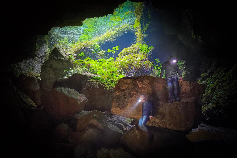 Waitomo: Eco-Cave rondleiding met gids