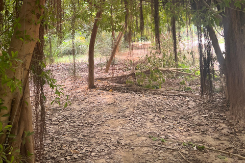 Muscat: Wadi Shab Hike and Bimmah Sinkhole Tour with Lunch Muscat: Wadi Shab Hike and Bimmah Sinkhole Tour with Lunch