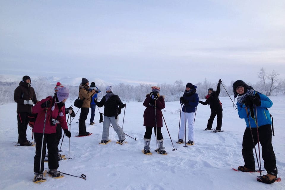 Abisko Snowshoe Hike | GetYourGuide