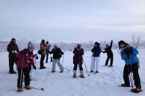 Abisko: Escursione con le racchette da neve nella natura