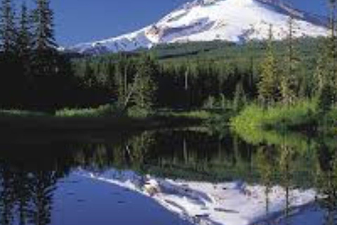 Mt Hood &amp; Columbia River Private Tour ab Portland