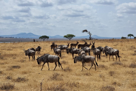 3-tägige Arusha, Tarangire und Materuni Wasserfall Tour