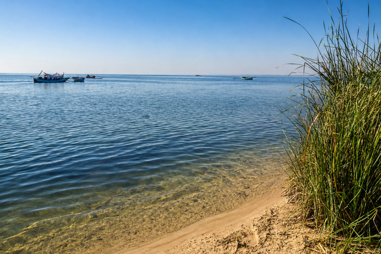 From Cairo: 4x4 Desert Safari, Waterfalls & Magic Lake Shared Tour: Wadi El Rayan, Magic Lake & Lake Qarun, Jeep