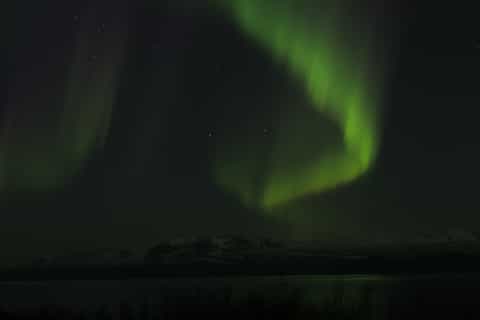Iceland: Northern Lights Bus Tour from Reykjavik