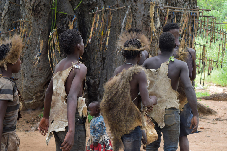 Tarangire-Nationalpark &amp; Eyasi-See (Datoga- &amp; Hadzabe-Dörfer)Premium Lodge im Tarangire-Nationalpark