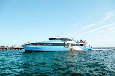 From Fremantle: Rottnest Island Ferry, Snorkel and Bike Hire