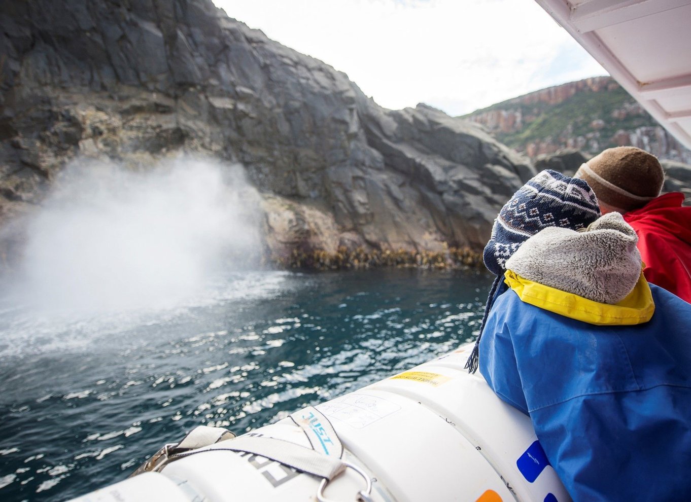 Hobart: Bruny Island Wilderness Coast Eco Cruise med frokost