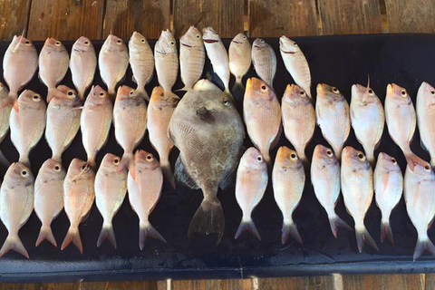 Djerba: Half-Day Fishing Trip with Hotel Transfers