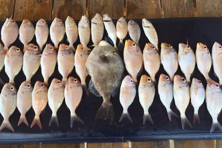 Djerba: Half-Day Fishing Trip with Hotel Transfers