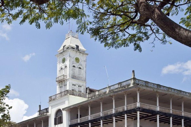 桑给巴尔：石头城、监狱岛和萨拉姆洞海龟