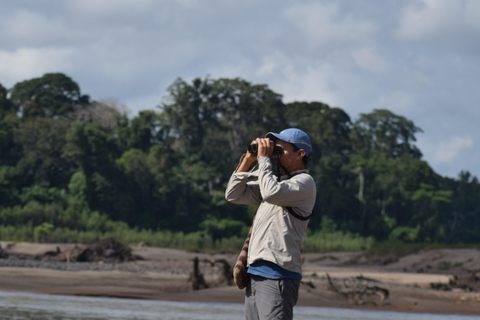 Birdwatching excursion 1.5 hours Tambopata Corridor
