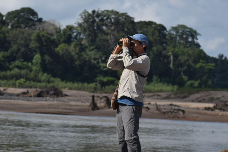 Birdwatching excursion 1.5 hours Tambopata Corridor