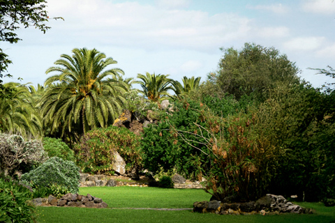 Excursion to Las Palmas: History and Culture From Maspalomas: Las Palmas in Italian and French