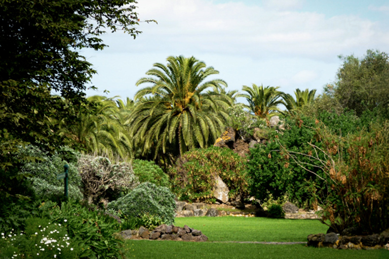 Excursion to Las Palmas: History and Culture From Maspalomas: Las Palmas in Italian and French