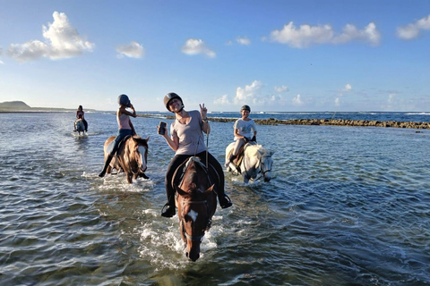 Saint-François: passeggiata a cavallo in riva al mare di 2 ore e 30 minutiSaint-François: 2h30 di passeggiata a cavallo sul lungomare