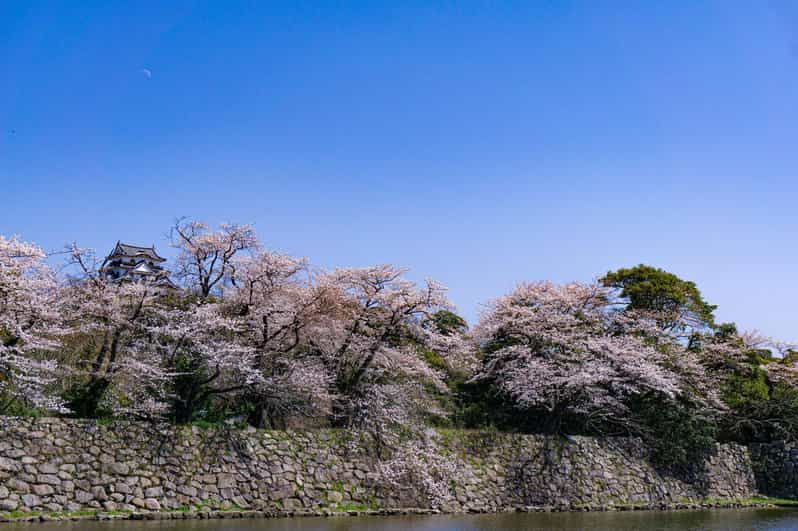 Hikone: excursão a pé pelo Castelo de Hikone e pela cultura samurai