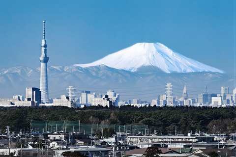 Tokyo: Private Luxury Day Tour with Hotel Pickup and DropOff