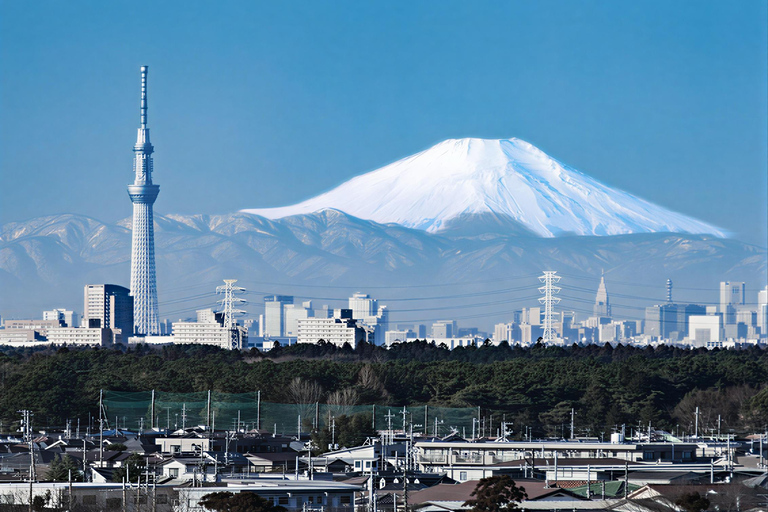 Tokyo: Private Luxury Day Tour with Hotel Pickup and DropOff