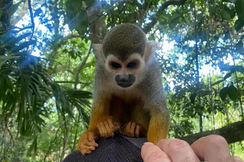 Puerto Plata: Saimiri Monkey Sanctuary, Exotic Flora, and Tropical Oasis