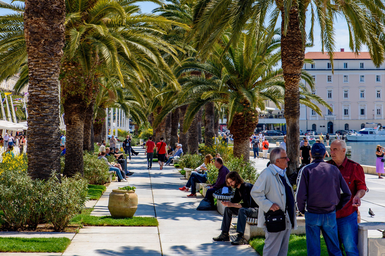 Private photoshoot tour: City of SplitPrivat fotograferingstur: Staden Split