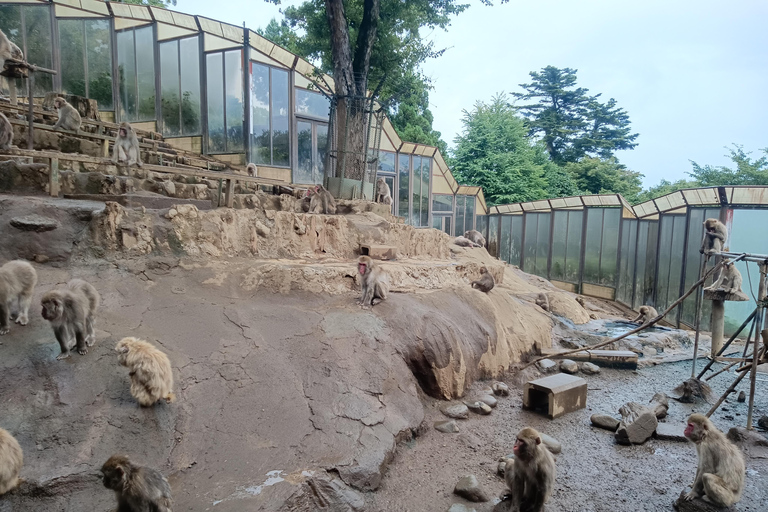 Tokyo: Mt Takao Tour with Ramen and Tattoo-Okay Hot Spring